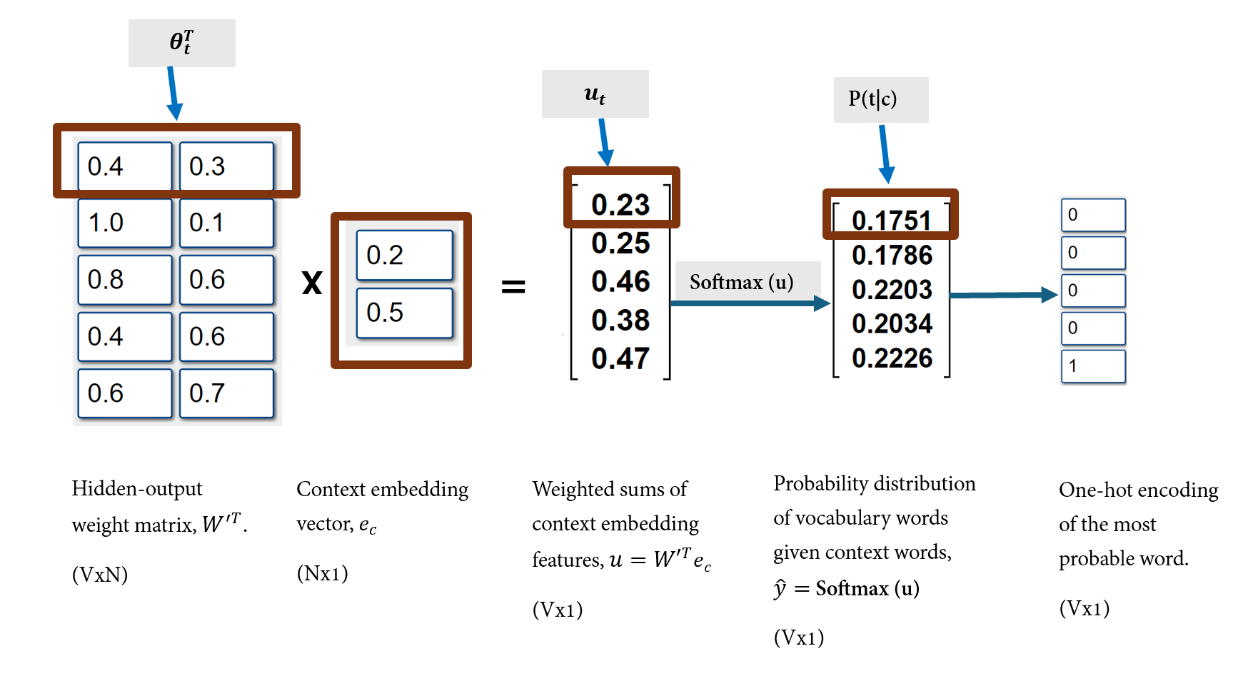 Softmax output computation